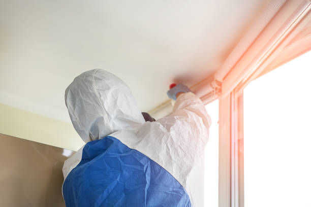 Best Emergency Mold Remediation  in Crompond, NY